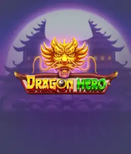 Enter a fantastic quest with the Dragon Hero game by Pragmatic Play, highlighting breathtaking visuals of mighty dragons and epic encounters. Venture into a land where fantasy meets adventure, with featuring enchanted weapons, mystical creatures, and treasures for a mesmerizing gaming experience.