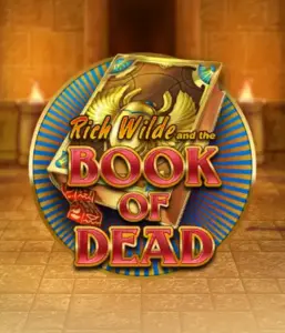 Dive into the thrilling world of Book of Dead by Play'n GO, presenting vivid graphics of Rich Wilde’s adventurous journey through ancient Egyptian tombs and artifacts. Discover lost riches with engaging mechanics like free spins, expanding icons, and a gamble option. Ideal for those seeking adventure with a desire for unearthing secrets.